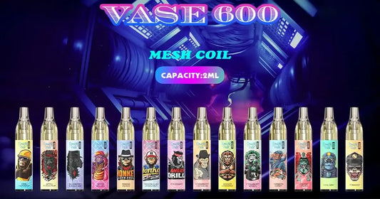 RandM VASE 600 Puffs Disposable Vape 2%